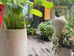 -吕氏焗小鲜•海鲜青岛菜(八大关店)