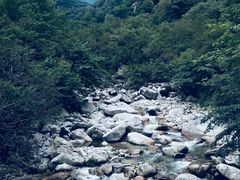 -青峰峡国家森林公园