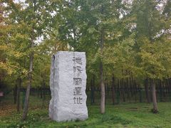 -汉景帝阳陵博物院