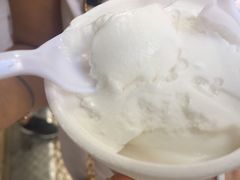 -洪馨椰子