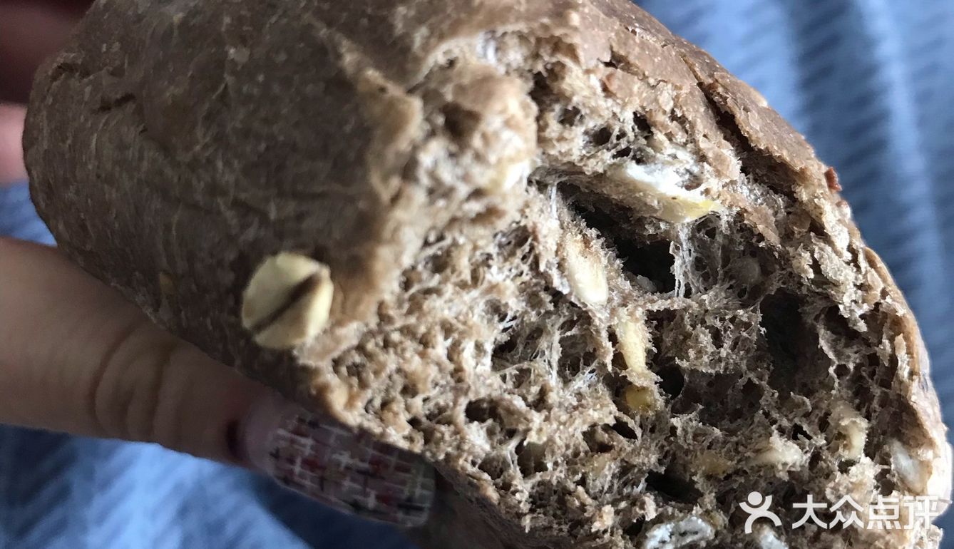 《奇亚籽蔓越莓面包》面包整体不甜