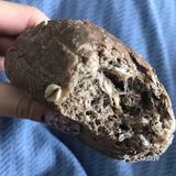 《奇亚籽蔓越莓面包》面包整体不甜