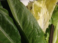 -八合里牛肉火锅(深圳光明大仟里二店)