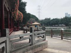 -光明港公园