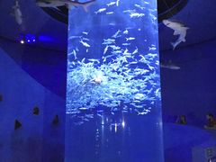 -香港海洋公园