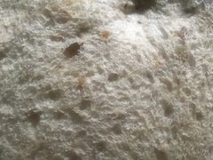全麦吐司面包-味多美蛋糕(双安店)