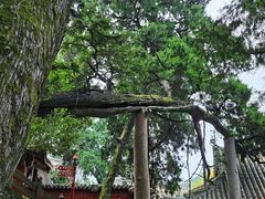 -七曲山风景区