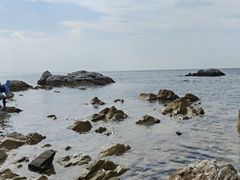 -养马岛旅游度假区