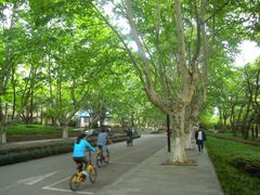 -浙江大学(玉泉校区)