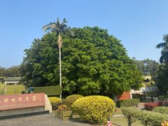 -大嶝英雄三岛战地观光园