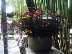 -新竹里馆·花园餐厅(兴苑路店)
