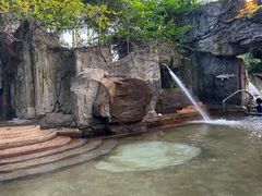 -海口观澜湖火山温泉谷