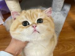 -保定会馆(红旗大街店)