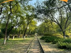 -永定河休闲森林公园