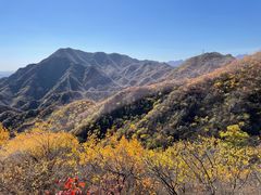 -大岭沟猕猴桃谷风景区