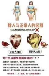 -Fundi张玉珊修身堂·indiba·BTL科技瘦身