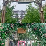 不出国选大牌迪士尼周边，竟然这么便宜