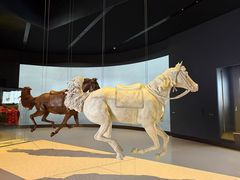 -扎耶德国家博物馆