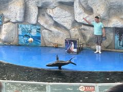 -泉州海丝野生动物世界