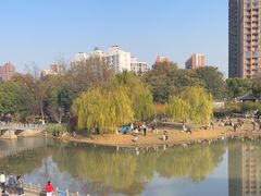 -堤角公园