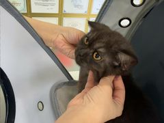 -博特宠物医院24h犬猫全科.骨科·异宠