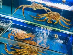 水产区-韩家墅海吉星农产品批发市场