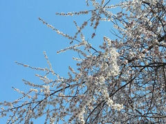 android_upload_pic-丰台科技园生态主题公园