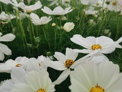 -漩门湾国家湿地公园