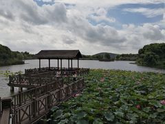 -上海市保健医疗中心