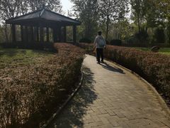 -塘沽森林公园