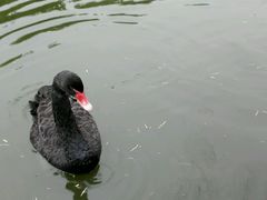 android_upload_pic-东莞市可园博物馆