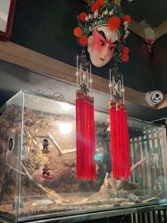 -木子·纹身店TATTOO穿孔·洗纹身