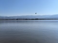 -西昌邛海湿地