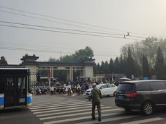 -洪记白水羊头(天坛店)