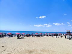 -老虎石海上公园