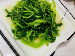 清炒鸡毛菜-19号私房菜(云南路店)