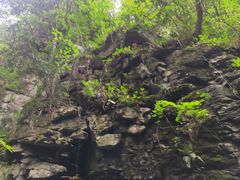 -藏龙百瀑风景区