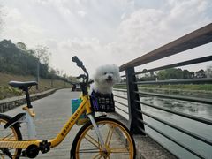-府河摄影公园