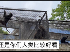 -成都动物园