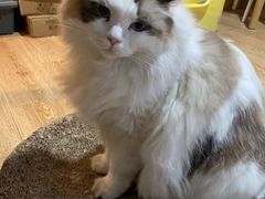 -白兔子密室(长寿路店)