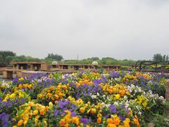 -东方绿舟景区