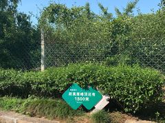 -雨花胜境