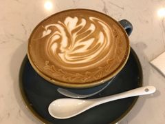 -飞行喵MR PILOT|猫舍·猫咖(静安大融城店)