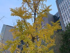 -河南财经政法大学(郑东校区)