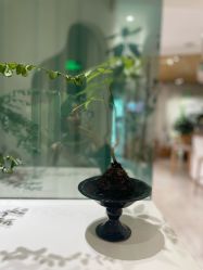 -薇薇安花系SPA