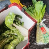 今天的晚餐从“田间”直达“餐桌”