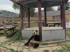 -杭州野生动物世界