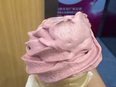 -麦当劳(花园北路店)