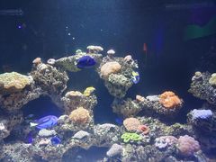-海合安天津极地海洋公园