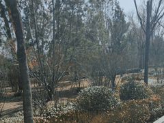 -迎泽公园